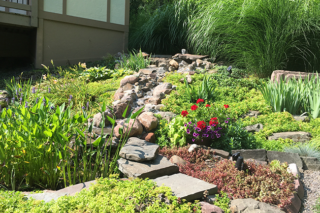 The Lyman Hillside Garden